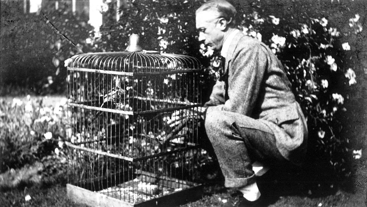 No existe la posición correcta sino la dirección correcta: Artículo sobre Técnica Alexander con Marta Barón en Madrid