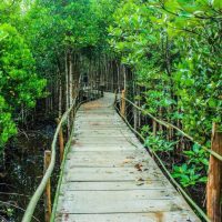 Conectar. Artículo sobre Técnica Alexander con Marta Barón en Madrid Conectar. Artículo sobre Técnica Alexander con Marta Barón en Madrid